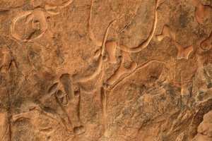 Les plans de gestion des parcs culturels en Algérie