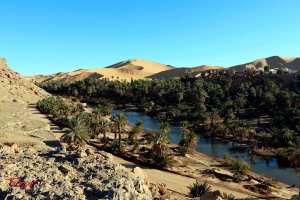 Les Happies découvre le Sahara Algérien