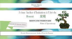 Atelier Bonsaï Algérie