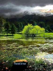 Sortie Parc National Theniet el Had & Cherea