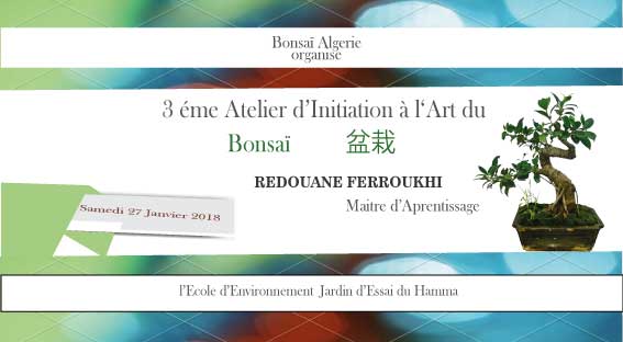 Atelier Bonsaï Algérie