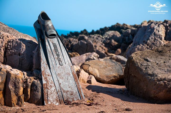 Journée d entrainement