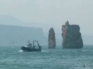 Tlemcen : Un pêcheur porté disparu