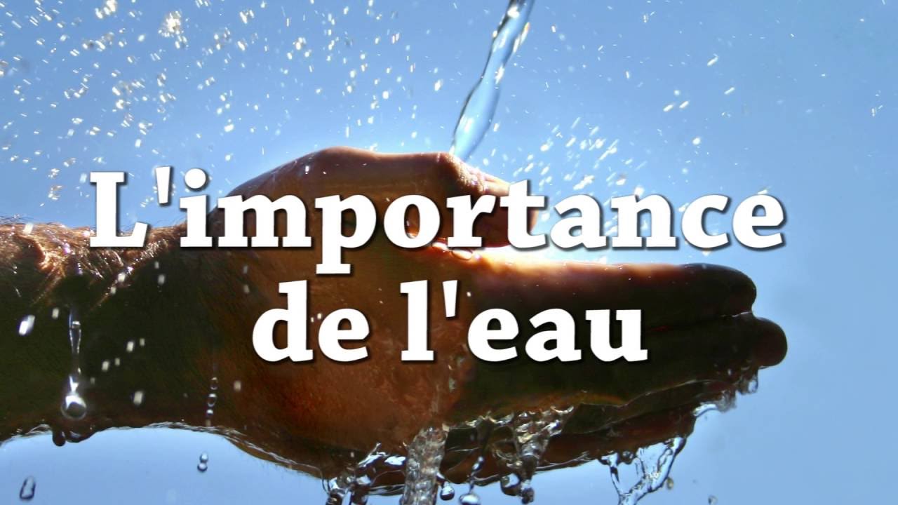 Tlemcen : Sensibilisation des enfants à l’importance de l’eau