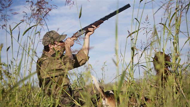 Planète - France: Les chasseurs: faux écologistes, mais vrais lobbyistes Une nouvelle tribune libre anti-chasse d'Alain Volle