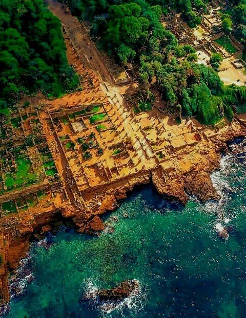 Tipaza