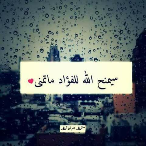 حُبٌْ بِلاَ حُدُودْ