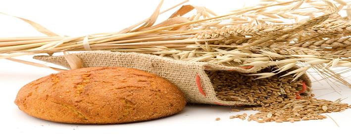 Une meilleure rentabilité des blés durs en Algérie