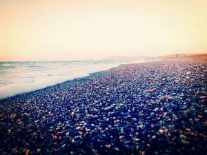 ﻣﺮﺣﺒﺎ ﺑﺎﻻﺧﻮﺍﻥ ﺍﻟﻜﺮﺍﻡ ﻭﺍﻻﻓﺎﺿﻞ ﺍﻟﻒ ﺗﺤﻴﺔ ﻭﺷﻜﺮ