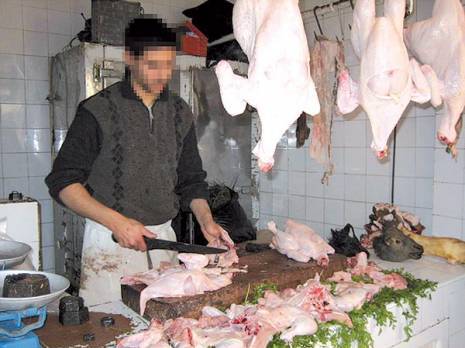 Relizane -  Certaines pratiques d’élevage mettent en danger le consommateur