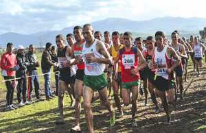 56e Championnat d’Algérie de Cross-country Chlef 2018
