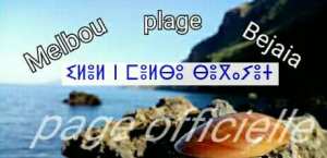 À La Mémoire Des Victimes De L'accident Tragique Du 23.02.1998