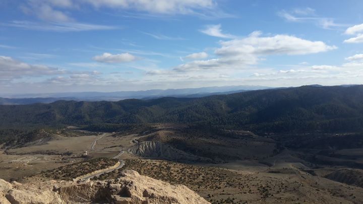 Journée internationale des forêts 21 mars 2018