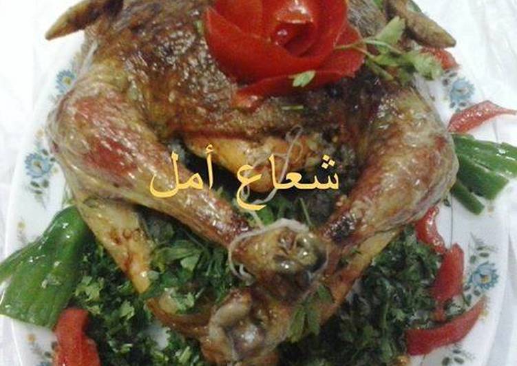 دجاجة محشية