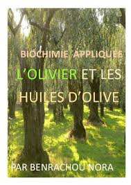 El Tarf -  Un premier livre publié sur les variétés algériennes d’huile d’olive