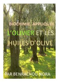 El Tarf -  Un premier livre publié sur les variétés algériennes d’huile d’olive