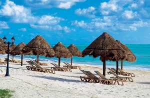 الديدان أفسدت إجازتهما