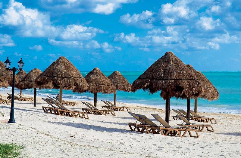 الديدان أفسدت إجازتهما