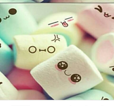 مرور شهر على ولادة فضفضة