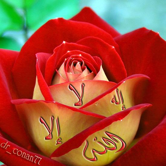 ﺍﻟﻴﻮﻡ ﺍﻟﻮﻃﻨﻲ ﻟﺼﻼﺓ ﻋﻠﻰ ﻣﺤﻤﺪ