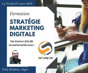 Formation : Stratégie Marketing Digital - Alger
