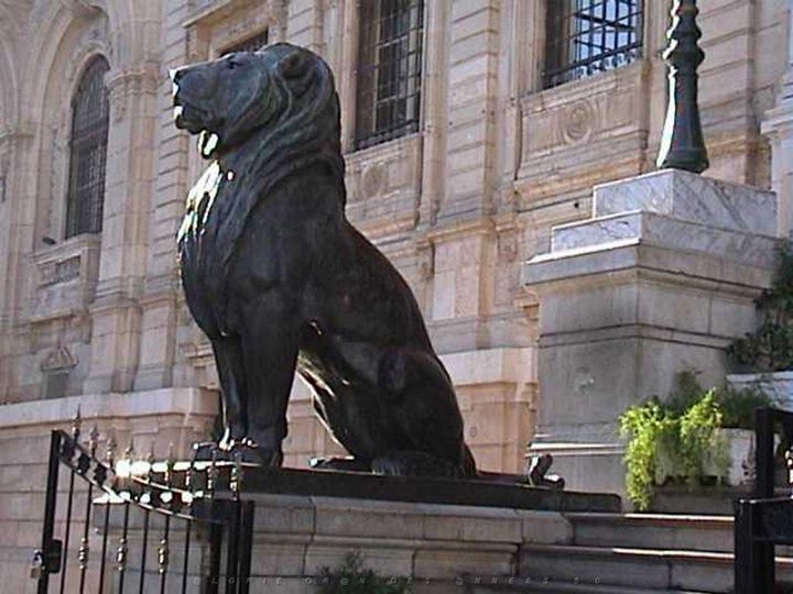 وهران - عطلة ربيع 2018 -