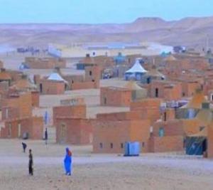 منظمة غير حكومية تدين اختطاف المتعاونين الاوروبيين بتندوف