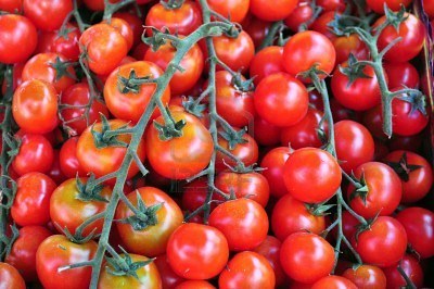 A Sétif, la tomate vendue à 130 dinars le Kg