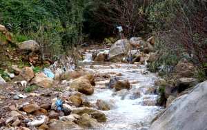 Pollution de l'oued Amsal