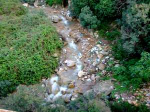 Pollution de l'oued Amsal