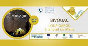 Bivouac LOUP GAROU à la forêt de M'sila