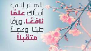 ملتقى دور الزوايا في السلم والمصالحة الوطنية