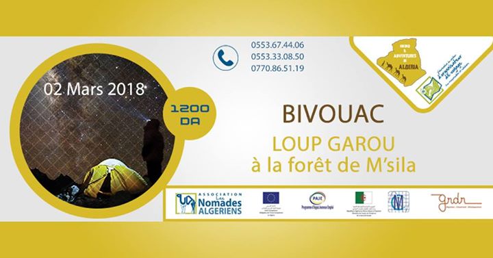 Bivouac LOUP GAROU à la forêt de M'sila