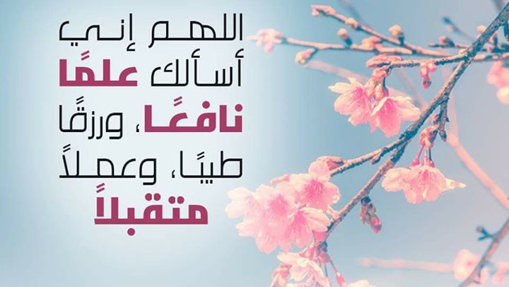 ملتقى دور الزوايا في السلم والمصالحة الوطنية