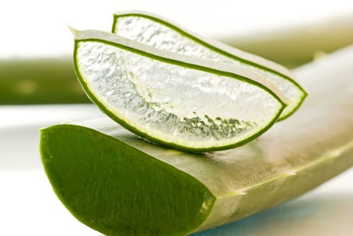 Ta Santé Va Mieux Avec l'Aloe Vera