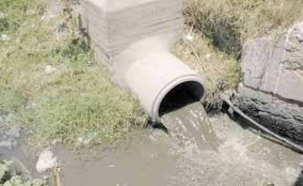 Pollution des maraîchages:  Des terres agricoles irriguées avec des eaux usées à Batna