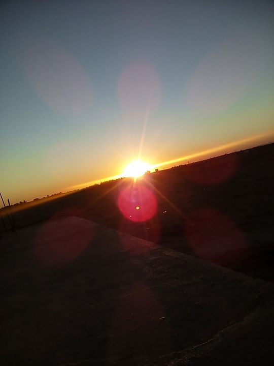 اقتراحات الاعضاء في الصفحة توهيمنة