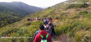 Randonnée Foret m'sila /Ançor