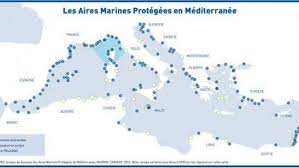 Planète - Jijel (Algérie): Rencontre sur la pêche artisanale:  Des spécialistes alertent contre les atteintes à la biodiversité marine