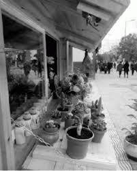 Suite à l’initiative de l’entreprise du génie rural:  Enfin des fleuristes à Batna !