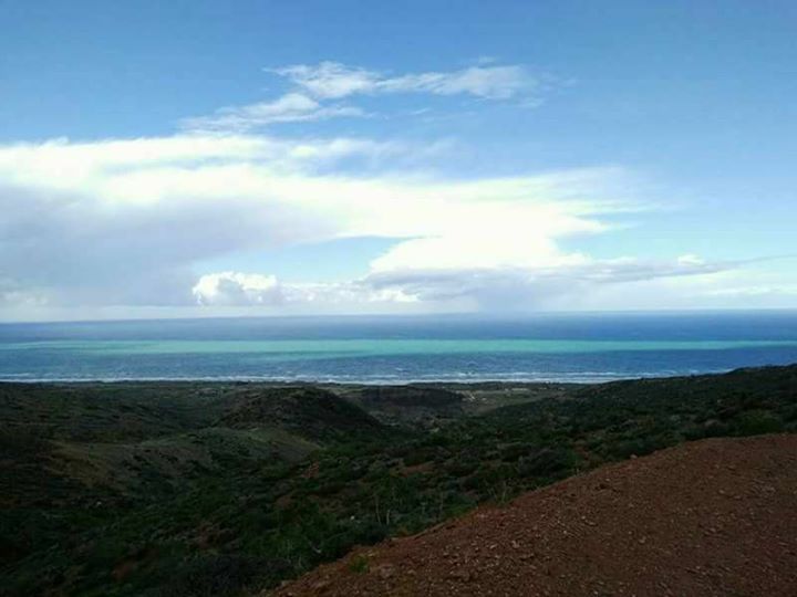 Randonnée Pédestre À La Foret De Mostaganem