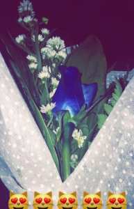 ﺭﻳﺸﺔ ﺃﻣﻞ