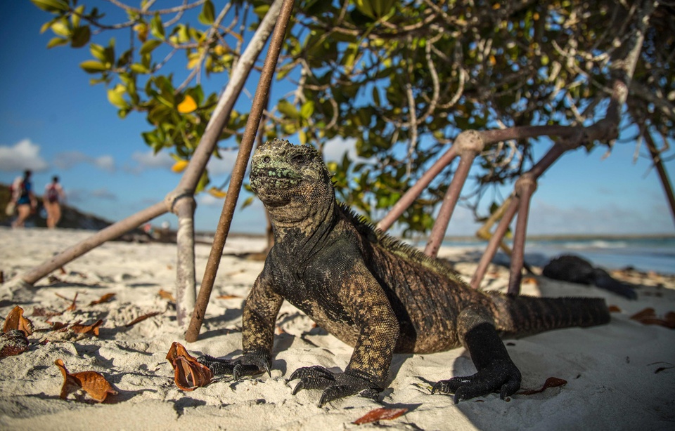 Planète - Pour préserver les sites naturels, faut-il en finir avec le tourisme de masse?