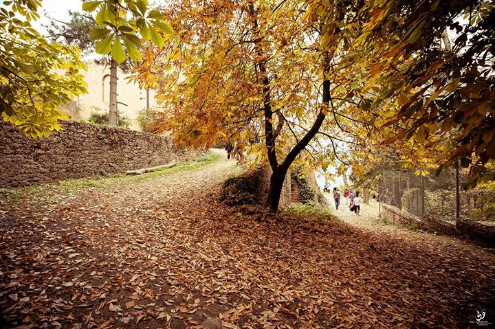 Sortie Photo®: Médea la ville millénaire