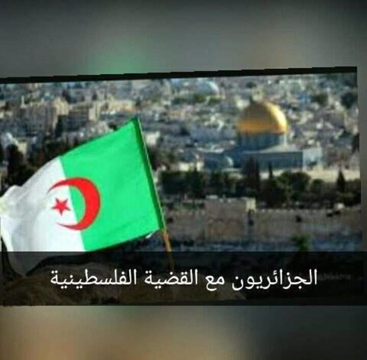 مملكة الحزن