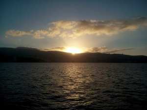 ﺑﻴﻊ ﻭﺷﺮﺍء ﻓﻲ ﺍﻟﺸﻂ ﻭﻻﻳﺔ ﺍﻟﻄﺎﺭﻑ