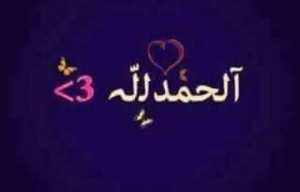 تاميم المحروقات