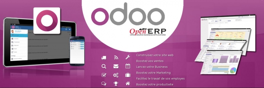 Système d’information pour la gestion d’entreprise ;