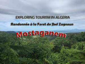 Randonnée à La Forêt De Djbel Zegnoun