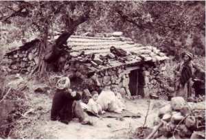 (conte Kabyle) O Grain-de-pierre de Patience – Si tu patientes, pourquoi patientons-nous ?